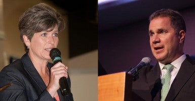 Could 4 Chickens Sway Iowa Senate Race?