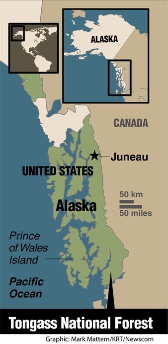 Environmentalists Halt Obama Administration Plan to Cut Trees in Alaska 2 Environmentalists Halt Obama Administration Plan to Cut Trees in Alaska