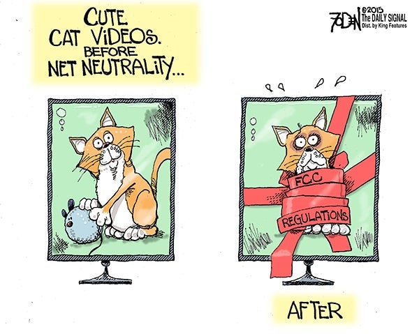 Cartoon: Net Neutrality and Cat Videos 1 Cartoon: Net Neutrality and Cat Videos