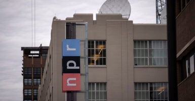 NPR layoffs