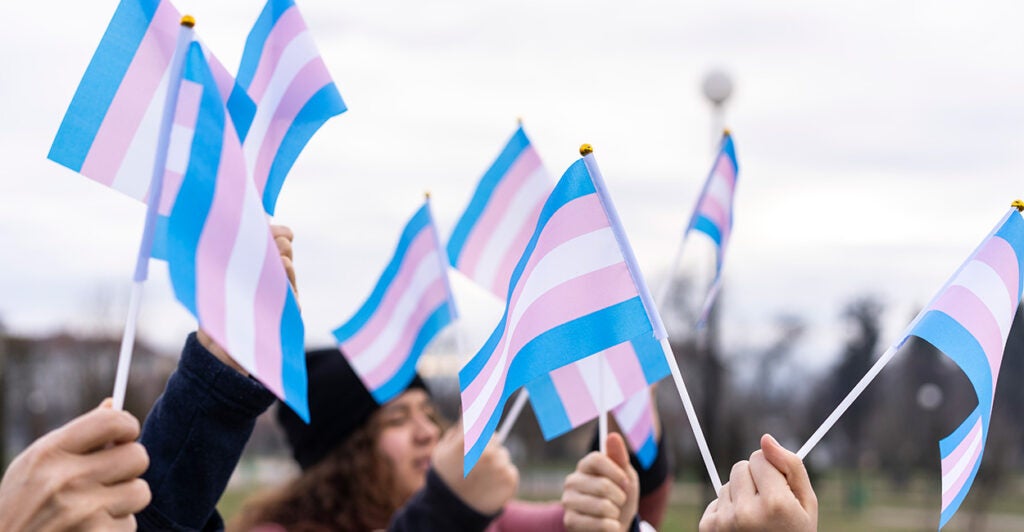 transgender flags waving in air