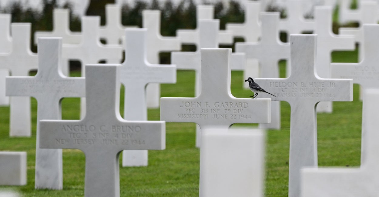 What Does DEI Have to Do With Preserving American Battlefield Memorials?