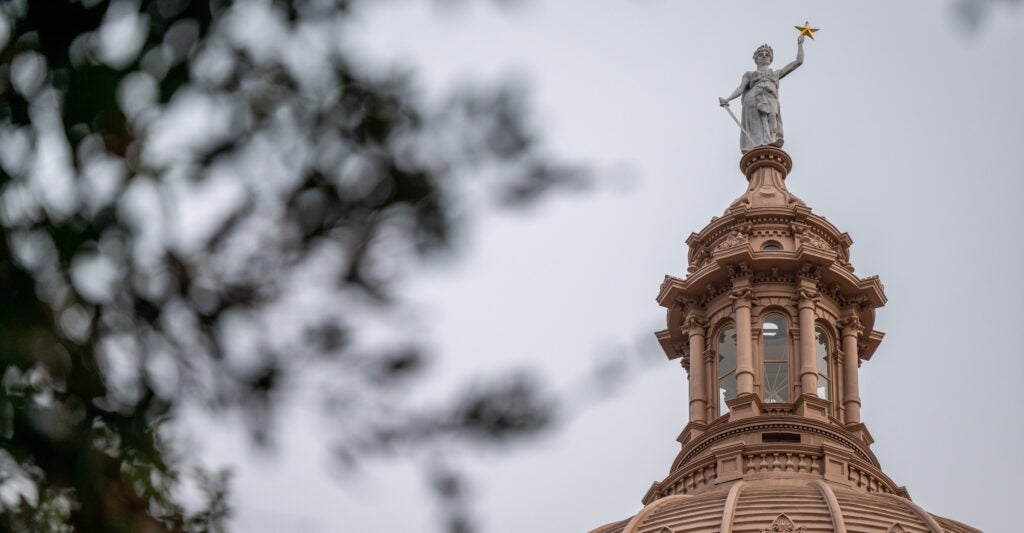 A shot up at the top of the Texas State Capitol building, framed on the left by a tree in the foreground.