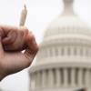 An activist holds up a marijuana cigarette against the backdrop of the U.S. Capitol Building Dome.