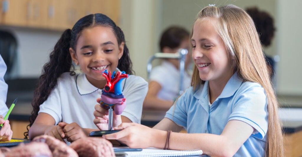Two fourth grade girls in private school uniforms study a model of a heart in class