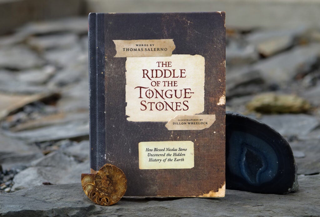 The Tongue Stones illustrated book