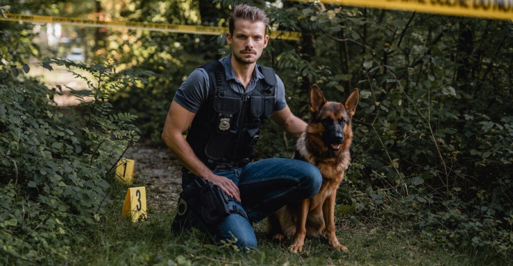 An officer kneels down next to his German Shepherd police dog in a wooded area with crime scene tape
