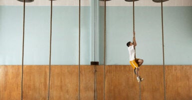 A boy in yellow shorts and white shirt climbs a rope toward ceiling of gym as other ropes hang near him.