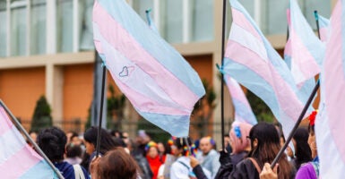 Transgender flags wave at a "Pride” event on June 29, 2024.