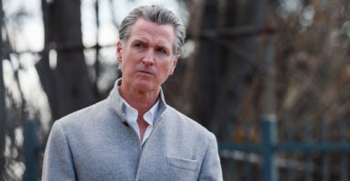 Gavin Newsom in a sharp, fashionable gray sweater looking stern.