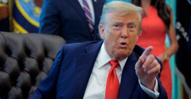 President Donald Trump