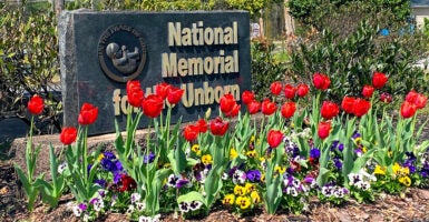 Gold-against-black sign for National Memorial for the Unborn, with red, purple and yellow flowers.