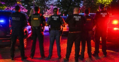 Seven ICE and ERO agents stand in a line with their backs to the camera.