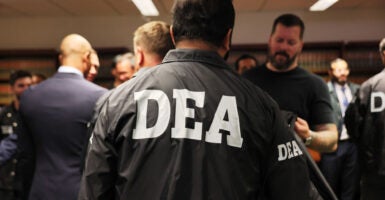 Man in a crowded room with back to camera, wearing black jacket with "DEA" in white lettering.
