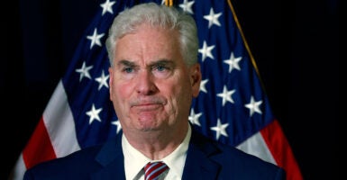 Tom Emmer stands in front of an American flag.