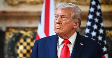 President Donald Trump