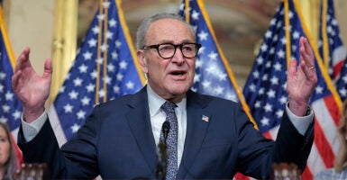Sen. Chuck Schumer is leading the government shutdown, which presents an opportunity to reform SNAP.