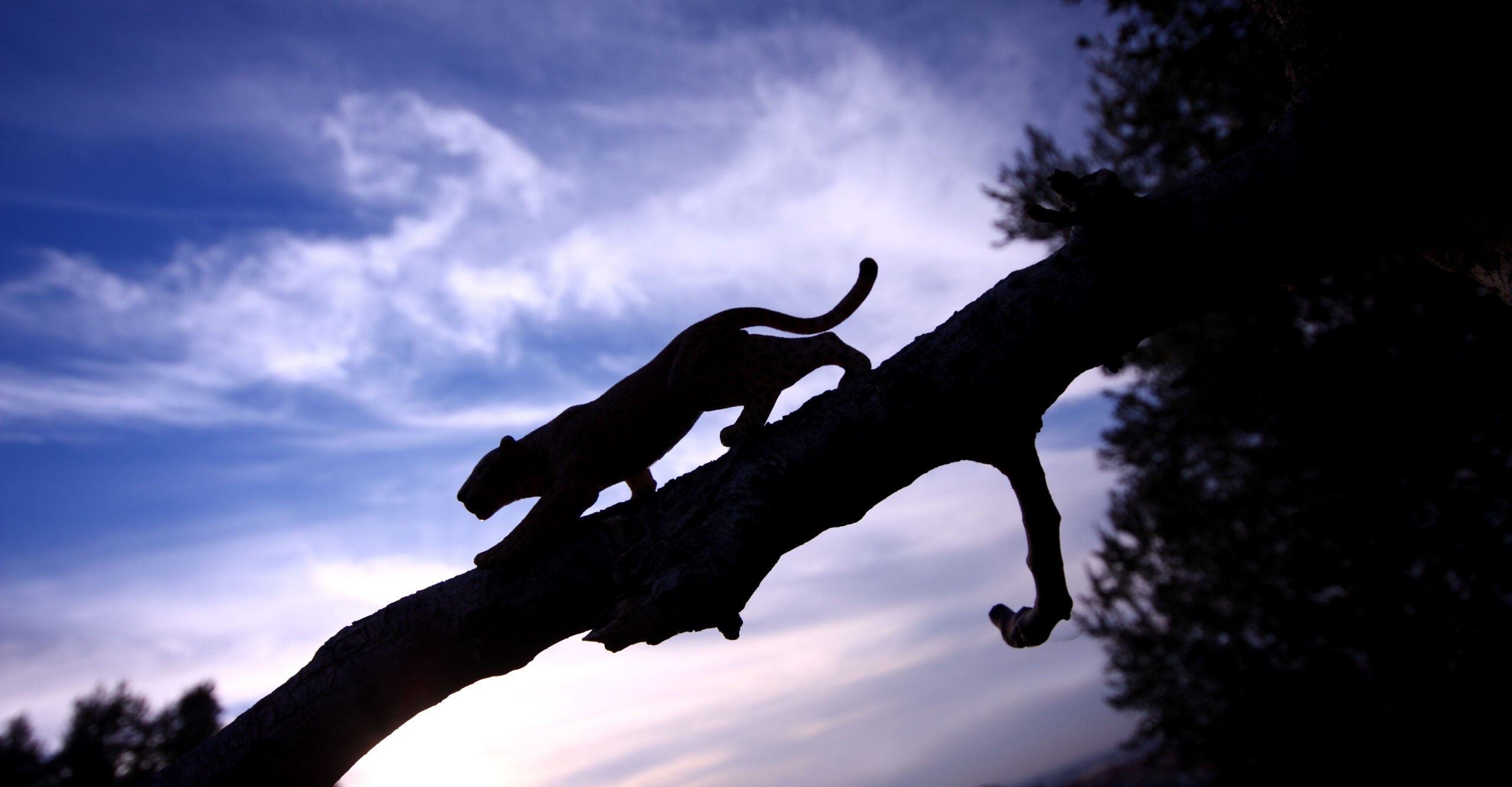 American Folklore Is More Than Just Scary Stories; It Carries a Value System