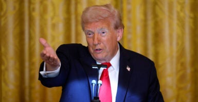 President Donald Trump