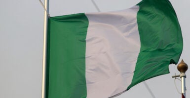 The national flag of Nigeria