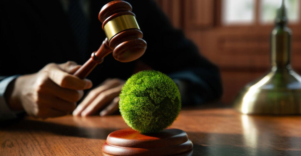 Gavel held by judge hangs above a green earth.