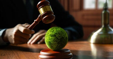 Gavel held by judge hangs above a green earth.
