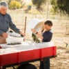 Grandfather and grandson working with olives on farm.