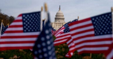 American flags flutter in front of the U.S. Capitol more than a month into the continuing U.S. government shutdown in Washington, D.C., U.S., November 7, 2025. REUTERS/Nathan Howard/File Photo