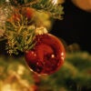 A red circular ball of a decoration hangs from a Christmas tree.