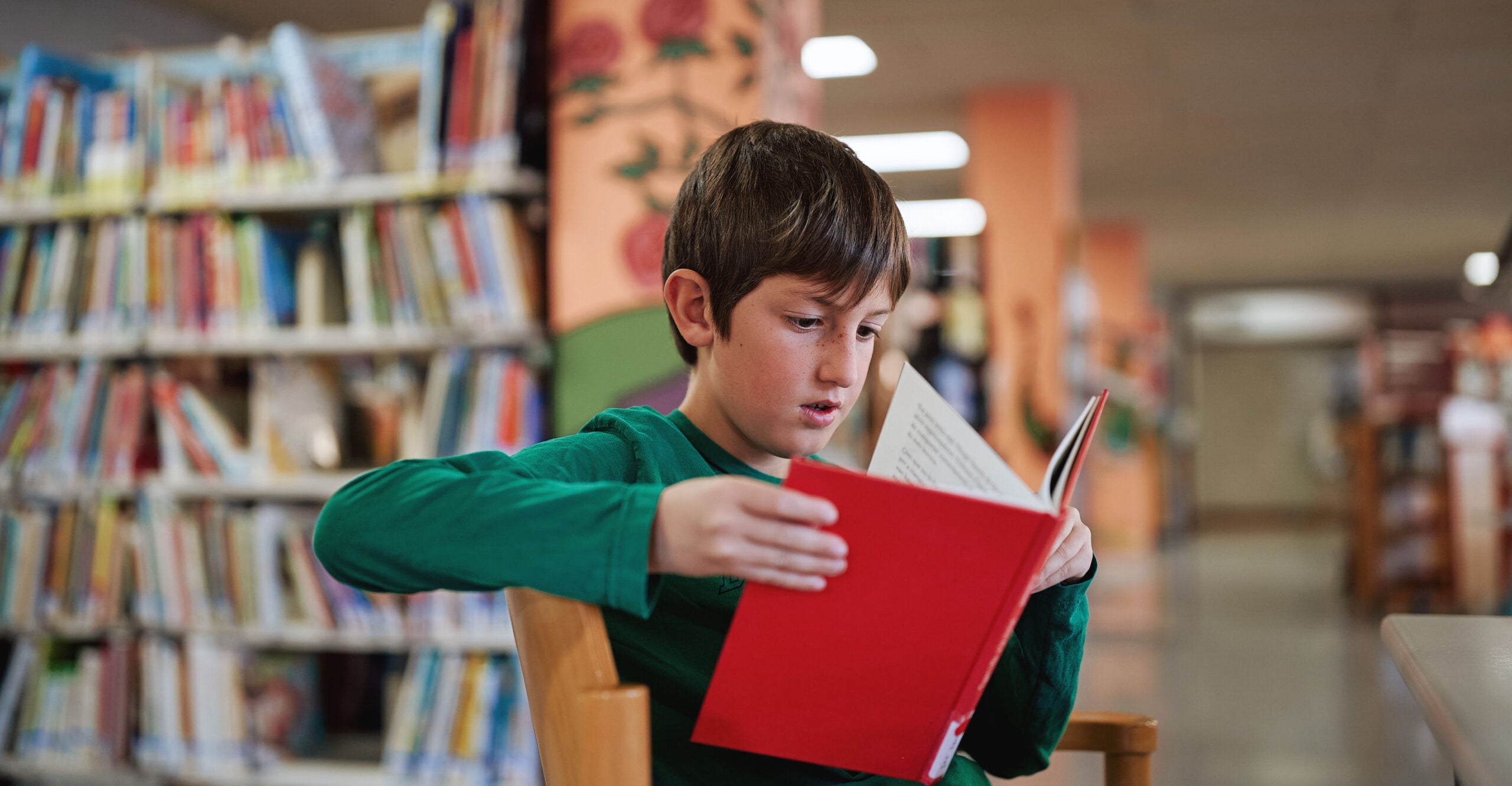 Why Johnny Can’t Read