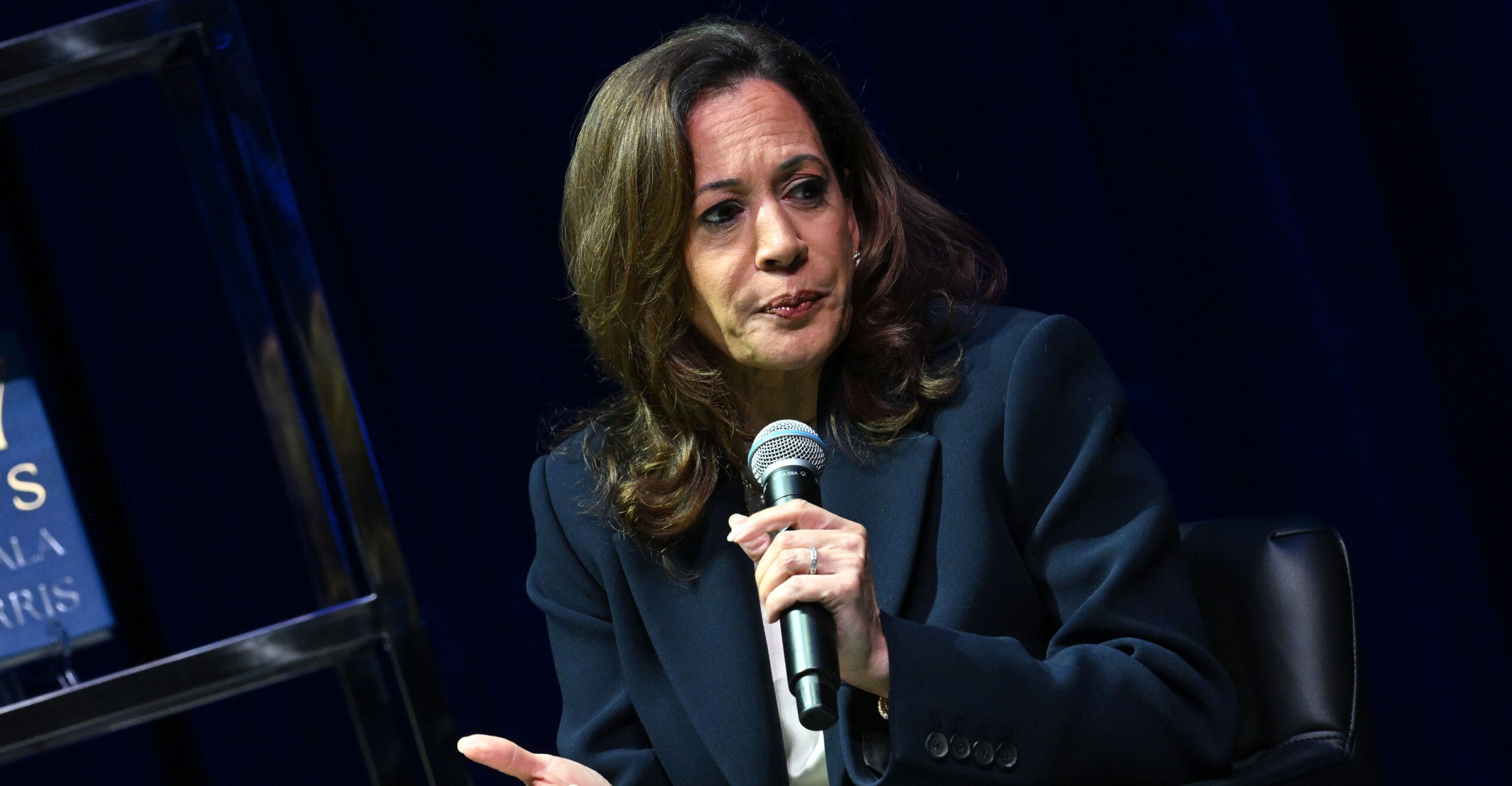 Kamala Harris Goes to Bat for Biden Administration Over Not Releasing Epstein Files