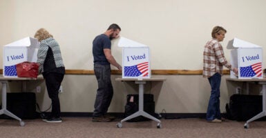 The Center for Immigration Studies is calling for the federal government to make the SAVE voter verification system more accessible.