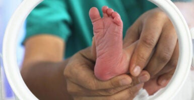 TANGSHAN, CHINA - JANUARY 01: A nurse looks after a newborn baby at a maternal and child health hospital on the first day of 2026 on January 1, 2026 in Tangshan, Hebei Province of China. (Photo by Zhu Dayong/VCG via Getty Images)