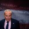 Senate Majority Leader Chuck Schumer (D-NY).