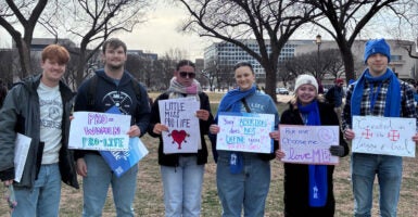 A group of young people holding up signs at the March for Life 2026