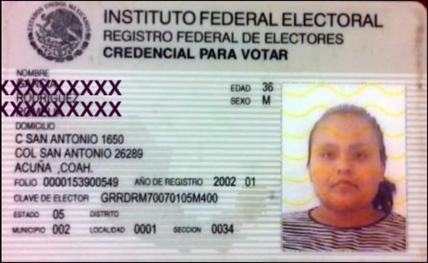 Photo ID to Vote Is Perfectly Normal Worldwide
