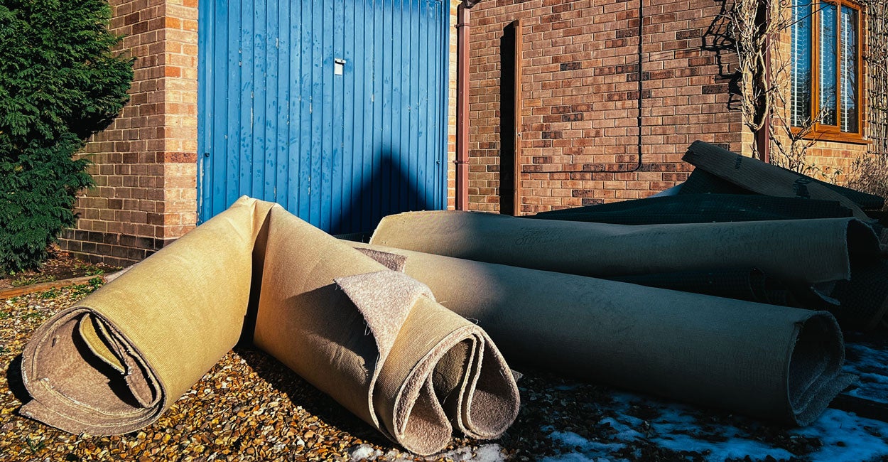 Maryland Loves My Ratty Old Rug More Than It Loves Me