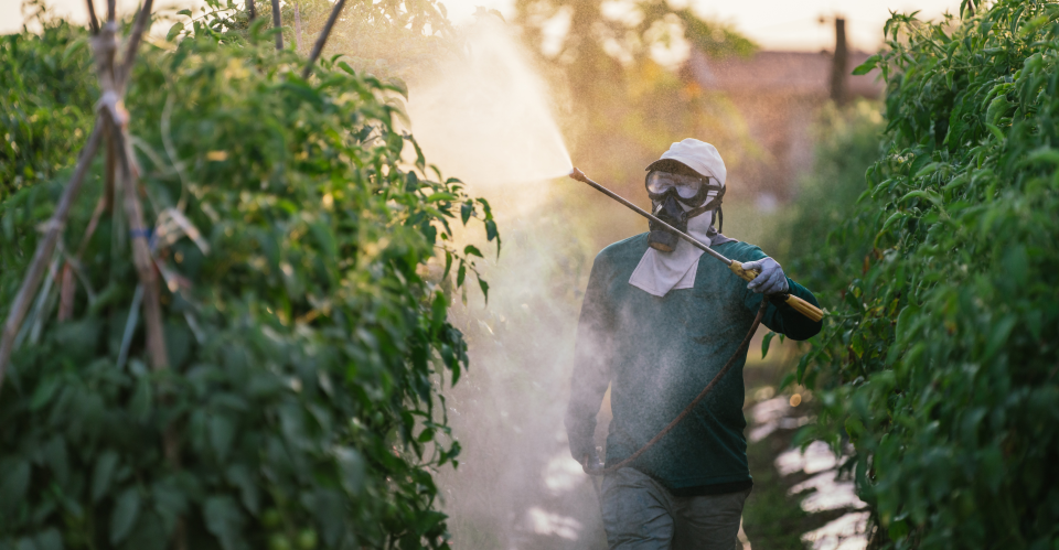 Pesticides and the Fight for America’s Health