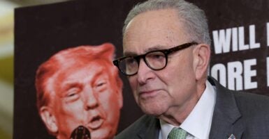 U.S. Senate Minority Leader Chuck Schumer speaks in front of an image of President Donald Trump.