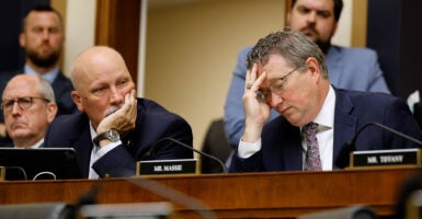 Thomas Massie and Chip Roy.