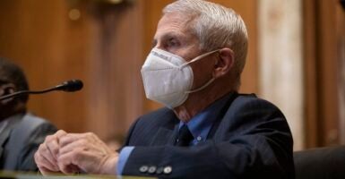 Anthony Fauci wearing a mask