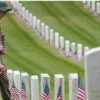 A scout placing flags by veterans' graves