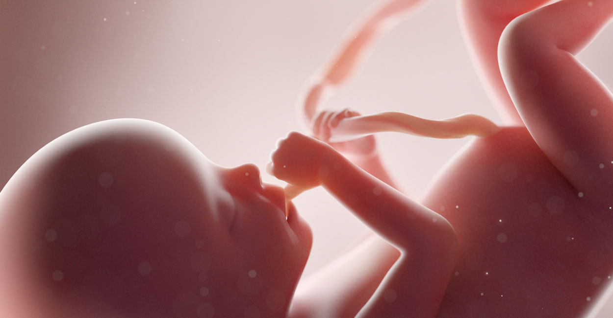 Report Cites These Scientific Facts About Unborn Babies at 15 Weeks