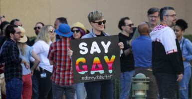 don't say gay
