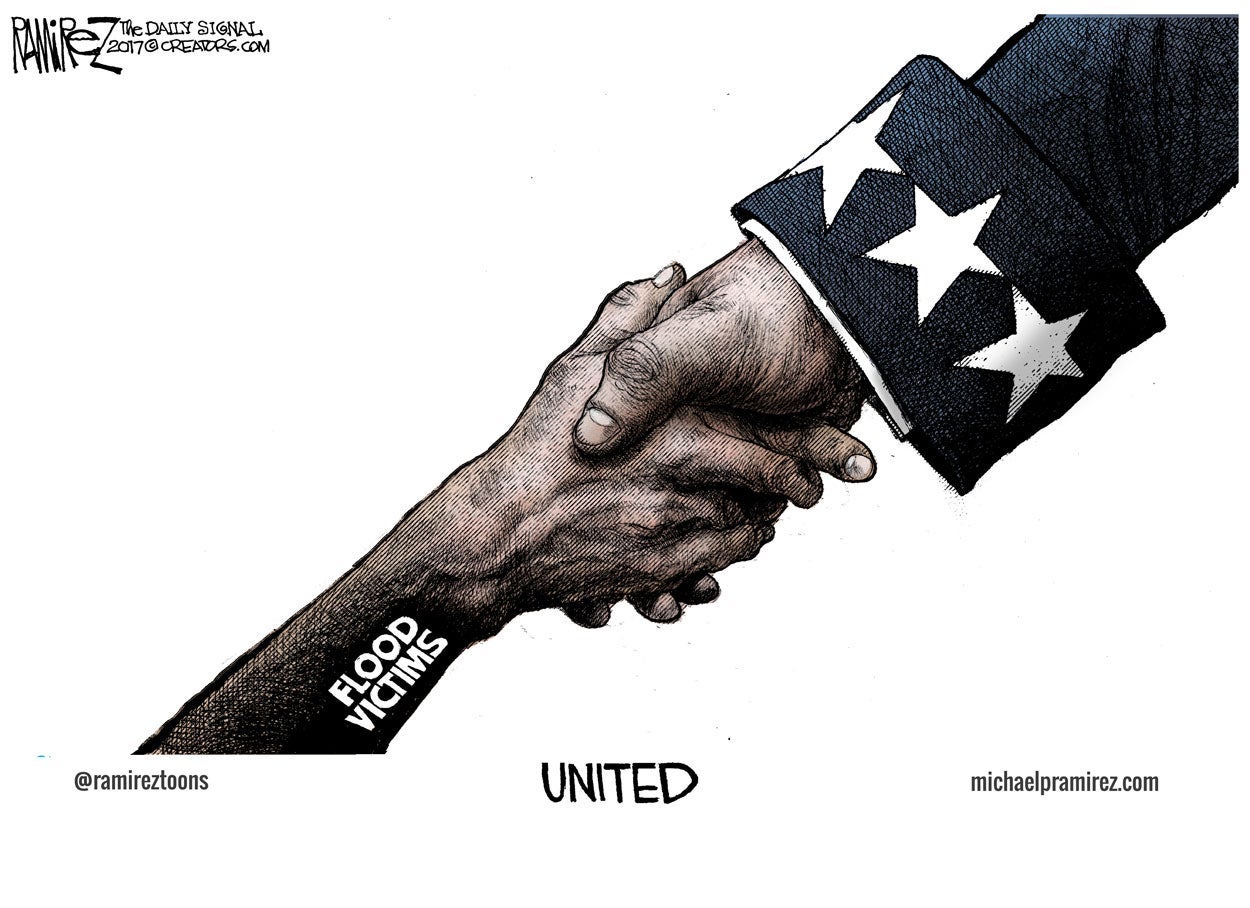 Cartoon: United 3 Cartoon: United