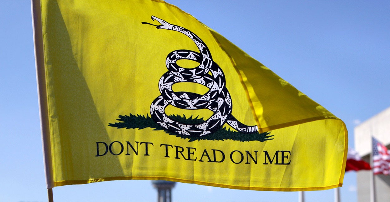 Meet the New Crop of Tea Party Conservatives in Congress